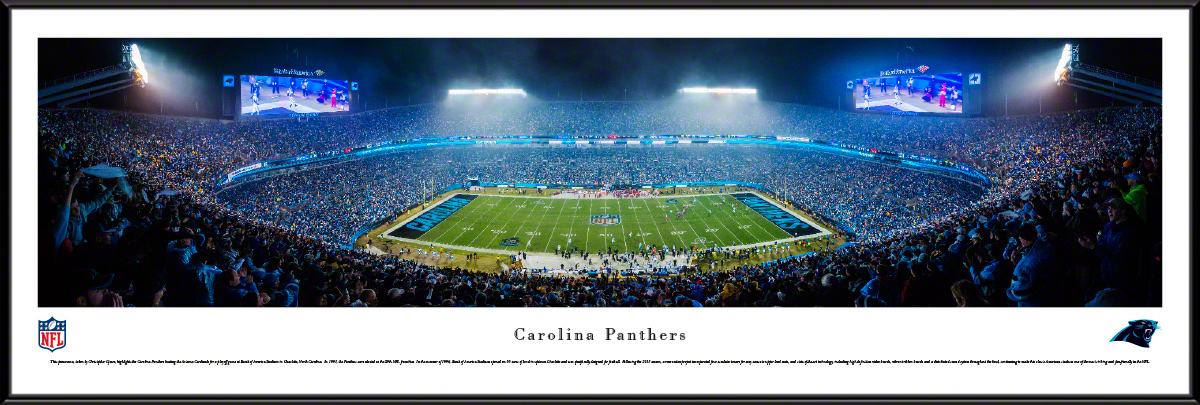 Carolina Panthers - Bank of America Stadium Panoramic Fan Cave Wall Decor