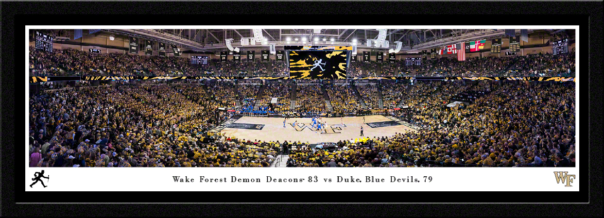 Wake Forest Demon Deacons - LJVM Coliseum Panoramic Fan Cave Wall Decor