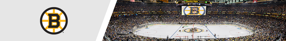 Boston Bruins