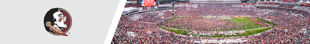 Florida State Seminoles