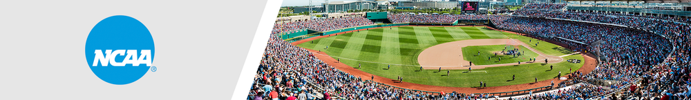 Auburn Tigers Baseball Panoramic Picture - Plainsman Park Fan Cave Decor