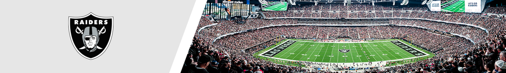 Las Vegas Raiders Panoramic Fan Cave Decor Allegiant