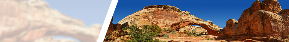 Capitol Reef National Park