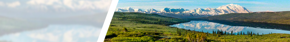 Denali National Park