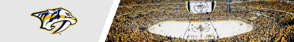 Nashville Predators Bridgestone Arena Hockey 8x10 to 48x36 Photo 01