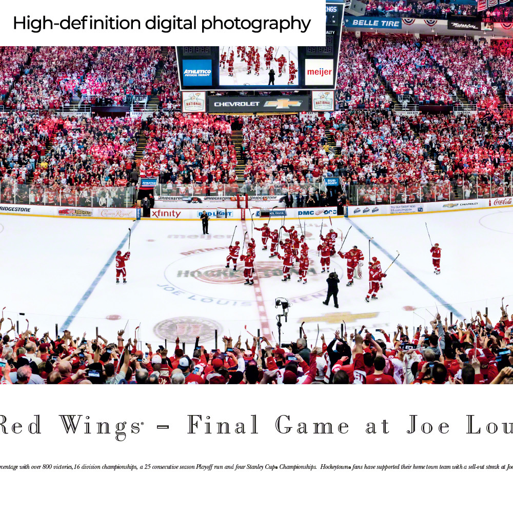 Farewell to the Joe at Joe Louis Arena. Detroit Red Wings, hockey