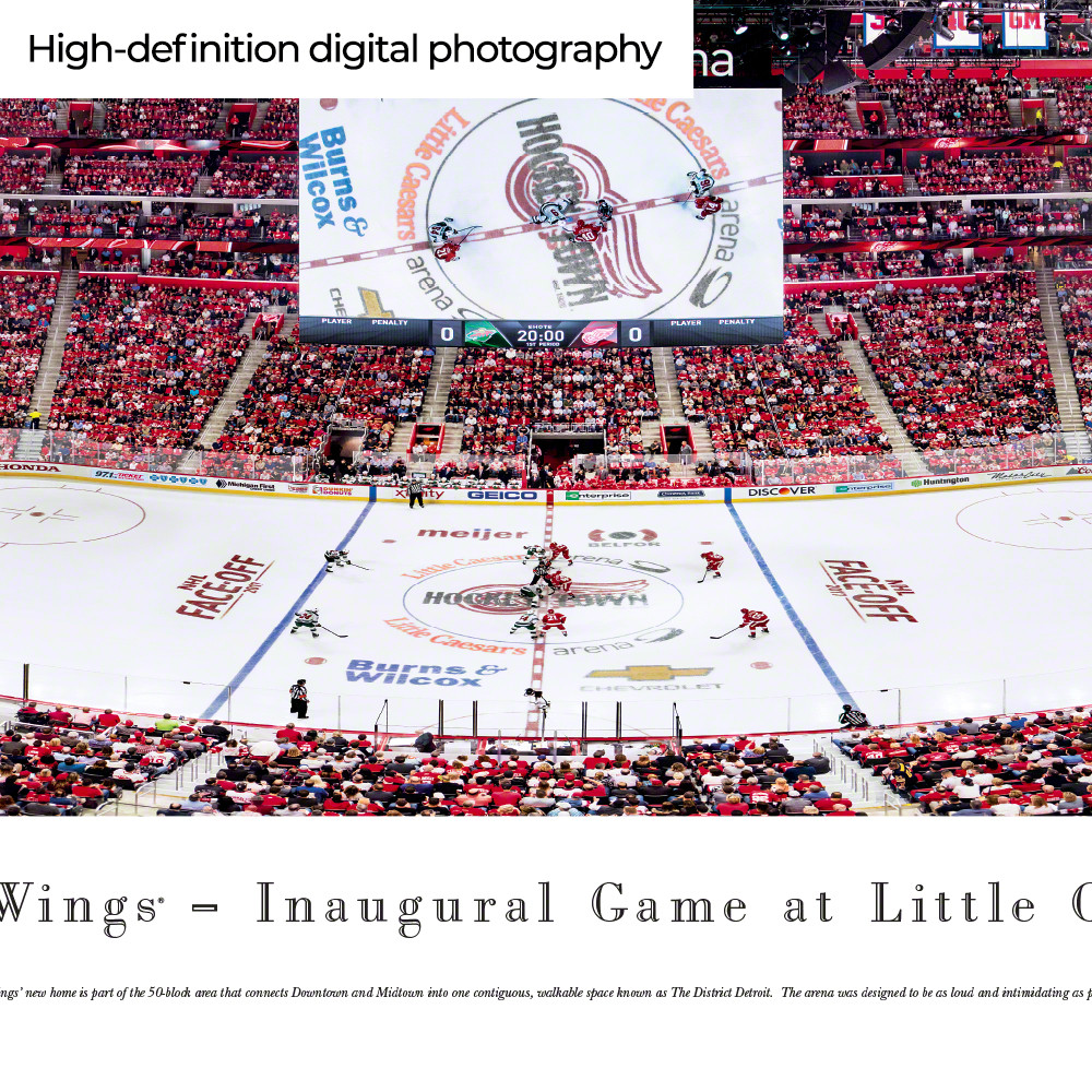 NHL DETROIT Red Wings 3D STADIUMView 6 x 19 Banner - Little Caesars Ar