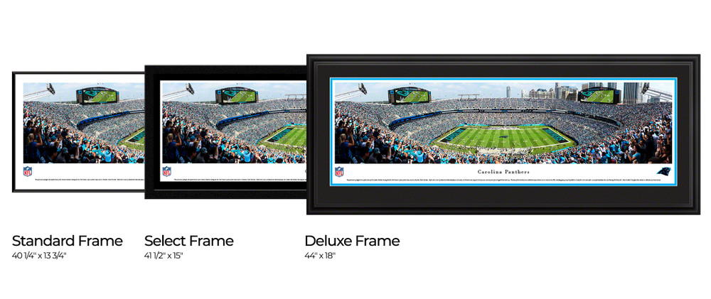 Carolina Panthers Bank of America Stadium NFL Football 8 x 10 Framed and  Matted Photo