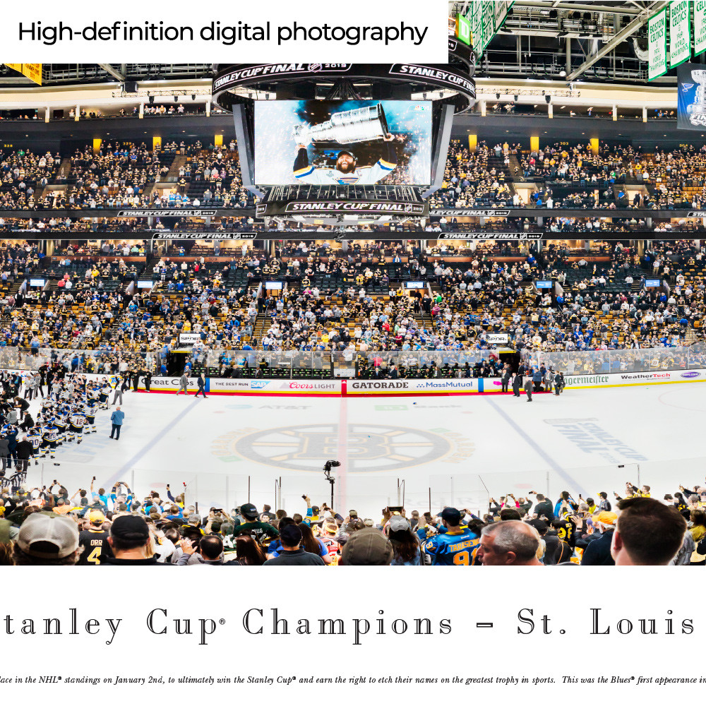 St. Louis Blues Stanley Cup Champions 14 X 18 Matted Design 