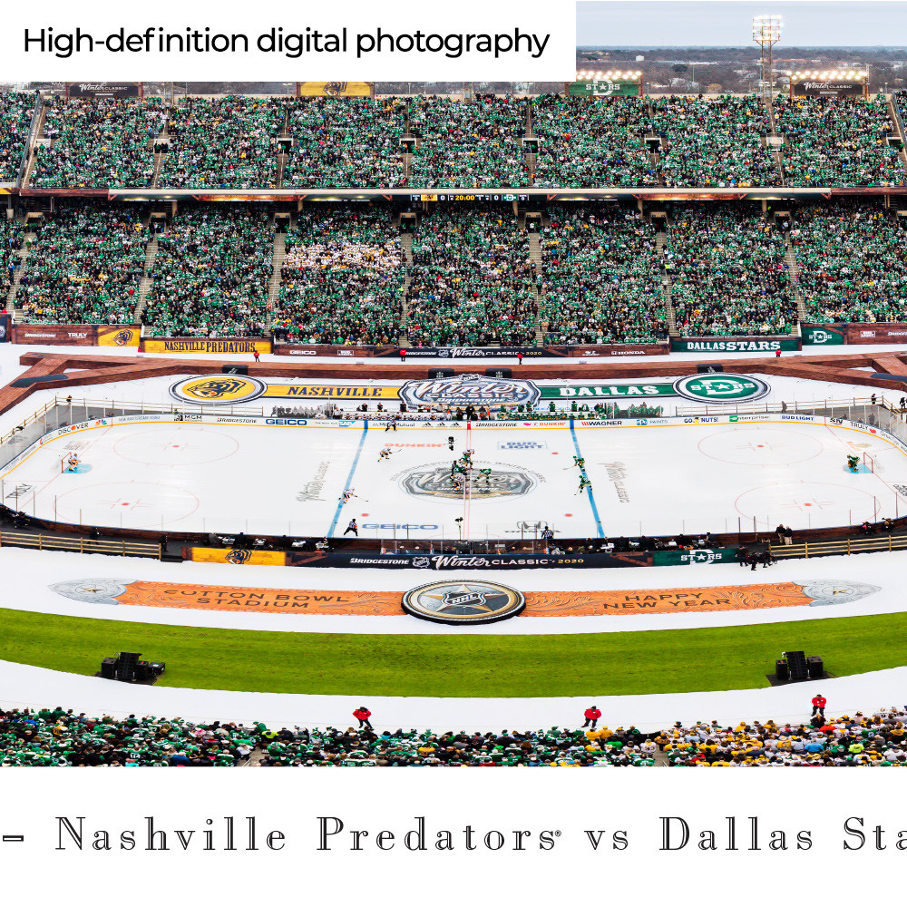 Nashville Predators - Winter Classic Panoramic Photo - Nashville