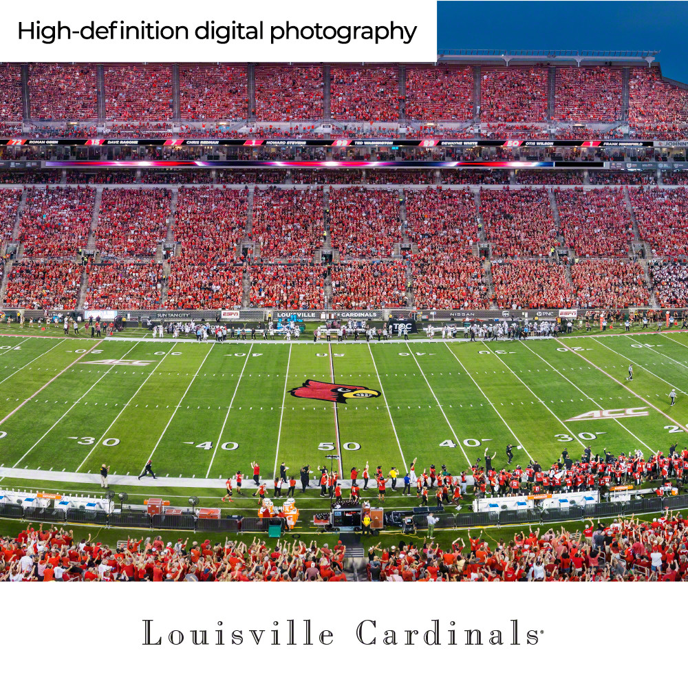 FIELD OF VIEW ポスター 4枚セット（LPサイズ） Amazon.com - Poster Palooza 20x25 White Pine Wood Picture Frame