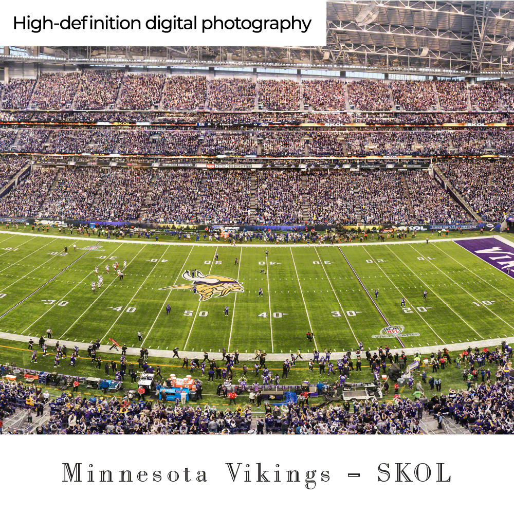 : MN Vikings - 1st Game at US Bank Stadium - Blakeway Panoramas  NFL Posters with Deluxe Frame : Sports & Outdoors