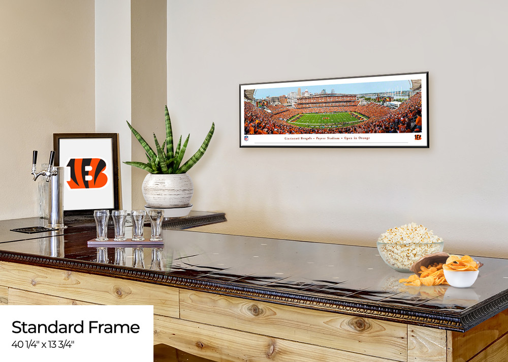 Cincinnati Bengals Orange Out Panoramic Picture - Paycor Stadium