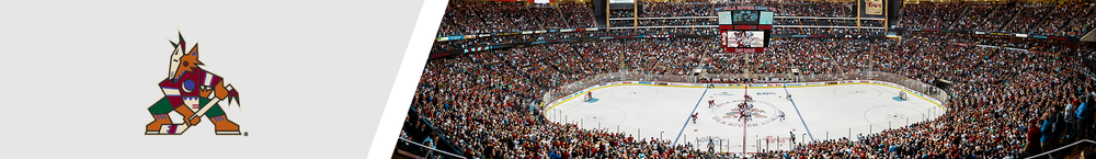 Arizona Coyotes