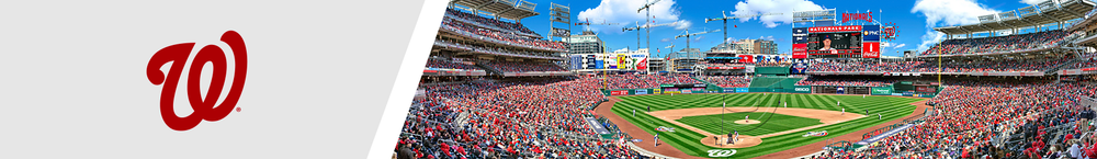 Washington Nationals MLB Panoramic Posters - Baseball Fan Cave Decor