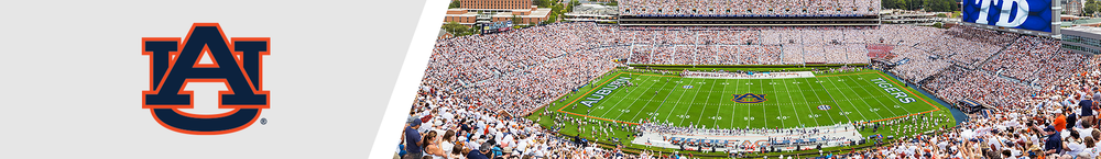 Auburn Tigers Baseball Panoramic Picture - Plainsman Park Fan Cave Decor