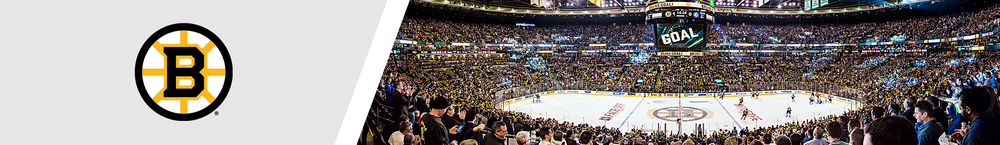 Boston Bruins