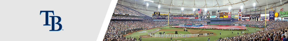 Tampa Bay Rays 2008 World Series Opening Ceremony - Framed Panoramic