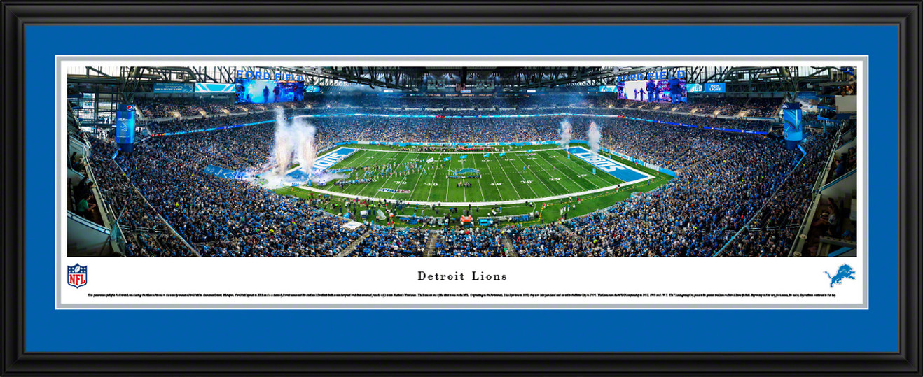 Detroit Lions Panoramic Picture - Ford Field