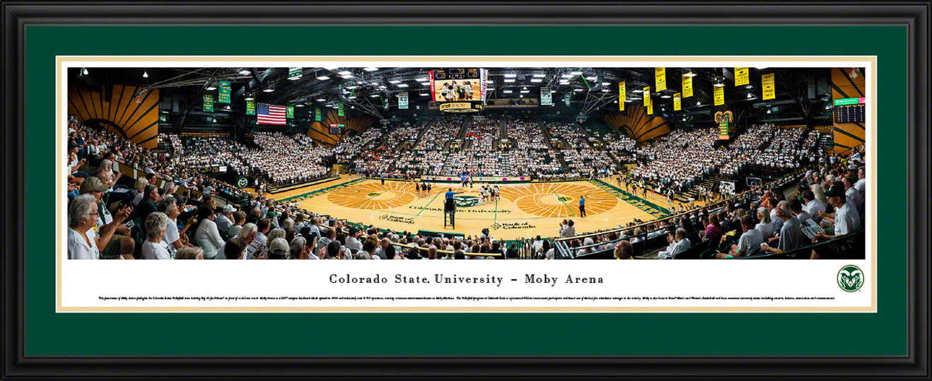 Colorado State Rams Volleyball Panoramic Picture - Moby Arena Fan Cave Decor