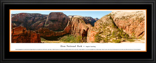 Zion National Park Panoramic Picture - Angels Landing