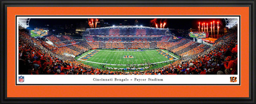 Cincinnati Bengals Stripe the Jungle Panoramic Picture - Paycor Stadium NFL Fan Cave Decor
