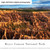 Bryce Canyon Panoramic Picture