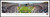 Lafayette vs. Lehigh Rivalry Panoramic -150th Meeting - Yankee Stadium Picture