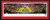 2015 CFP Championship Panoramic Picture - Ohio State Buckeyes