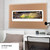 2016 Super Bowl Panoramic Picture - Super Bowl 50 - Denver Broncos