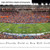 Florida Gators Football Panorama - Steve Spurrier-Florida Field at Ben Hill Griffin Stadium Panoramic Picture