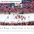 Detroit Red Wings Panoramic Picture - Joe Louis Arena NHL Panorama