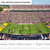 LSU Tigers Football Poster Panoramic Fan Cave Decor