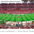 Arizona Cardinals Panoramic Poster - State Farm Stadium Picture