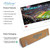 Ole Miss Rebels End Zone Football Panoramic Picture - Vaught-Hemingway Stadium