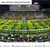 Appalachian State Mountaineers Football Run Out Panoramic Picture - Kidd Brewer Stadium Wall Decor