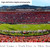 2022 Rose Bowl Game - Touchdown Panoramic Picture - Utah Utes vs Ohio State Buckeyes