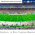 Pittsburgh Panthers Football Panoramic Picture - Acrisure Stadium Fan Cave Decor