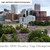 Colorado Celebrates - Colorado Avalanche Celebration Parade Panoramic Picture