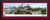 Colorado Celebrates - Colorado Avalanche Celebration Parade Panoramic Picture
