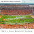 Texas Longhorns Football Panoramic Picture - DKR Texas Memorial Stadium Fan Cave Decor