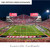 Louisville Cardinals Football Fan Cave Decor - Cardinal Stadium Panoramic Picture