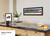 Colorado Buffaloes - 100th Season at Folsom Field Panoramic Picture - Football Wall Decor