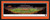 Oregon State Beavers Field Storming Panoramic Picture - Reser Stadium Fan Cave Decor