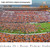 Oklahoma State Cowboys Field Storming Panoramic Picture - Boone Pickens Stadium Fan Cave Decor