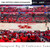 Houston Cougars Men's Basketball Panoramic Picture - Fertitta Center Fan Cave Decor