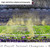 2023-2024 Season College Football Playoff National Championship Game Celebration Panoramic Picture - Michigan Wolverines
