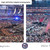 UConn Huskies Panoramic Picture - Back-2-Back NCAA Basketball National Champions