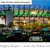 Lincoln Financial Field Panoramic Picture - Philadelphia Eagles NFL Fan Cave Decor