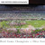 2025 Rose Bowl Champions Panoramic Picture - Ohio State Buckeyes